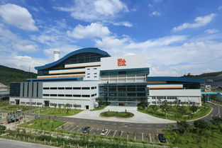 一把手談品牌 實(shí)力 責(zé)任 綠色 看深圳能源如何擦亮國(guó)企品牌